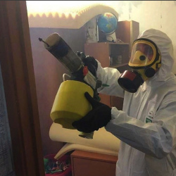 Уничтожение клопов в квартире. Севастополь